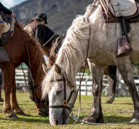 Conoce las Torres del Paine