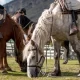 Conoce las Torres del Paine