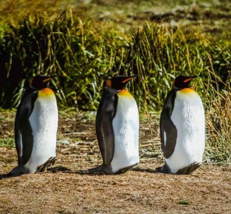 Conoce las Torres del Paine