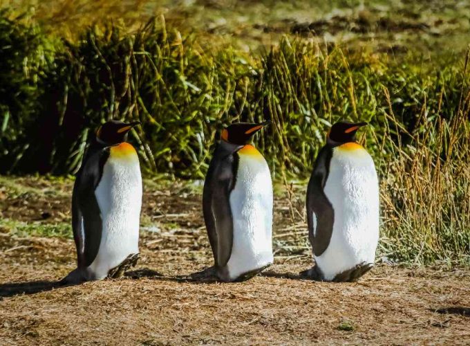 Conoce las Torres del Paine